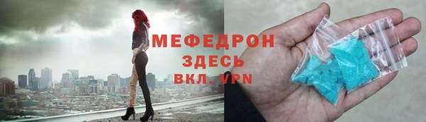 мдпв Туринск