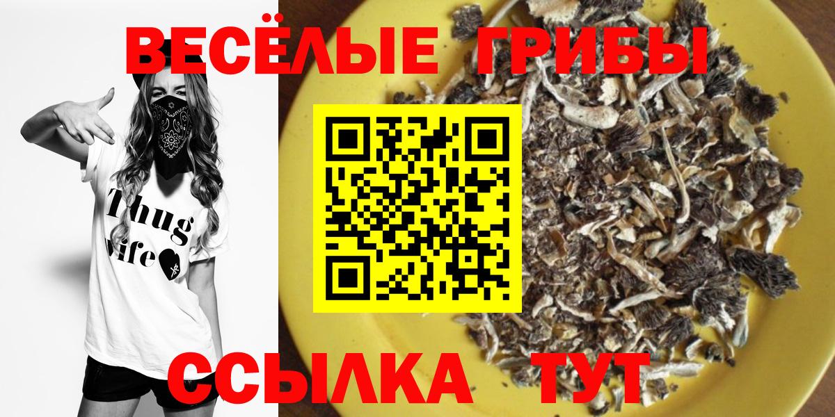 Псилоцибиновые грибы ЛСД  Вход с VPN  Псилоцибиновые грибы GOLDEN TEACHER  Шатура 